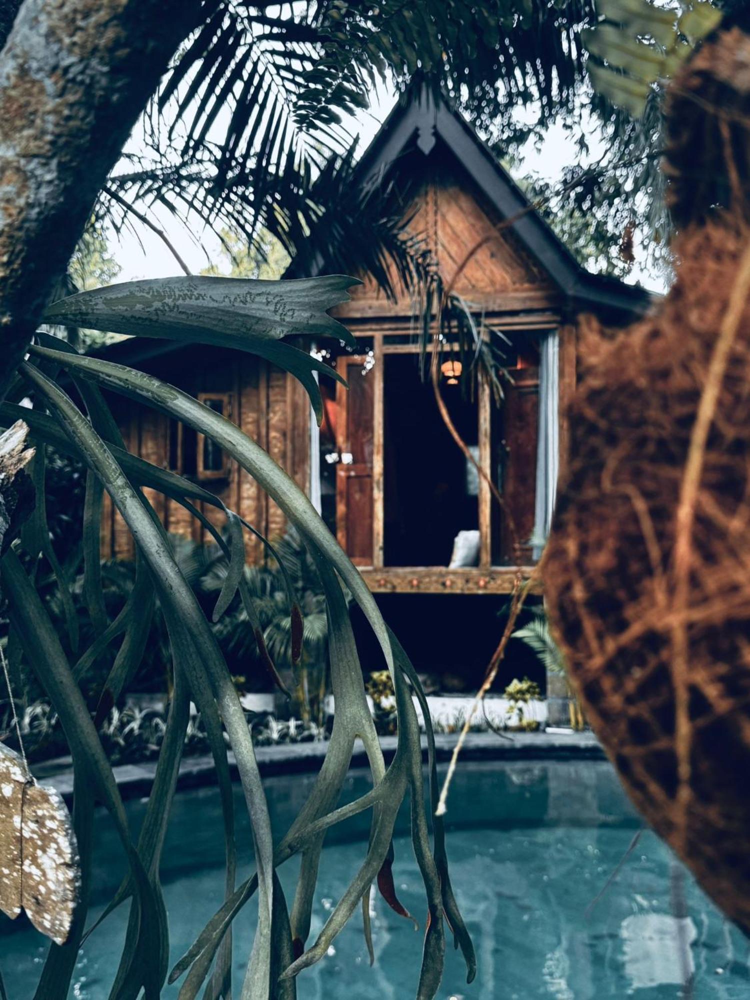 Resort Jungleroom Canggu エクステリア 写真